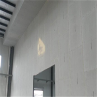 南郊宁波ALC板|EPS加气板隔墙与混凝土整浇联接的实验研讨